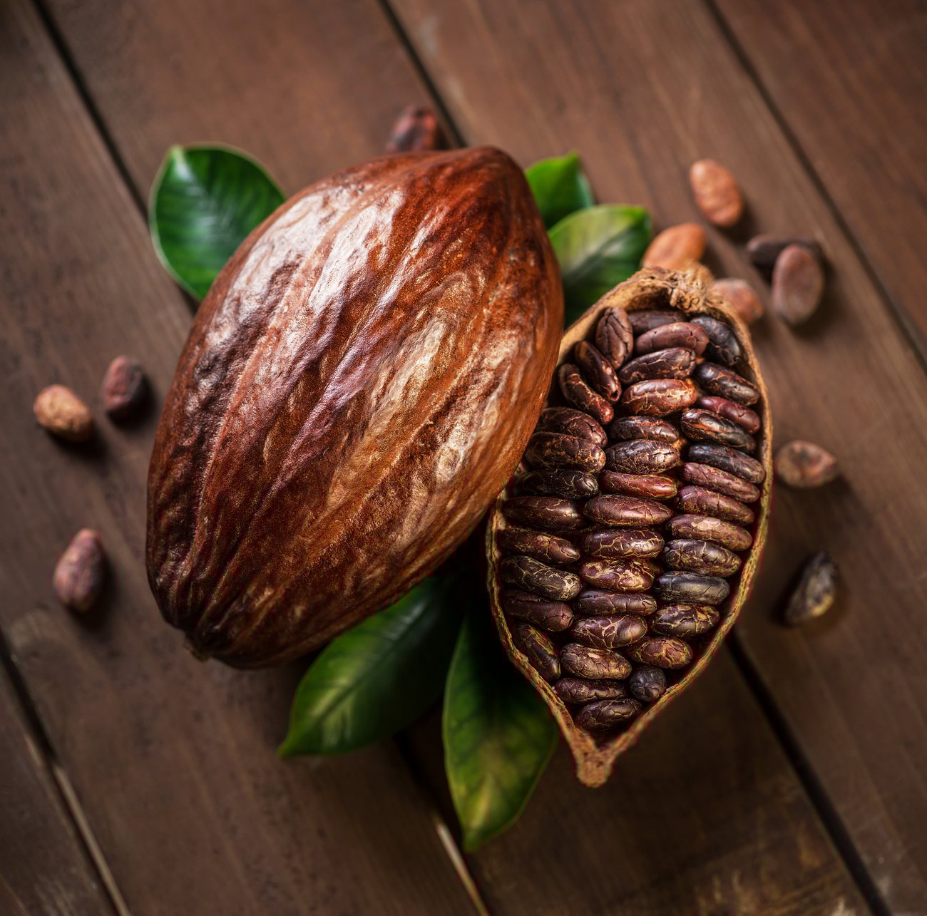 Cocoa pods and cocoa beans.